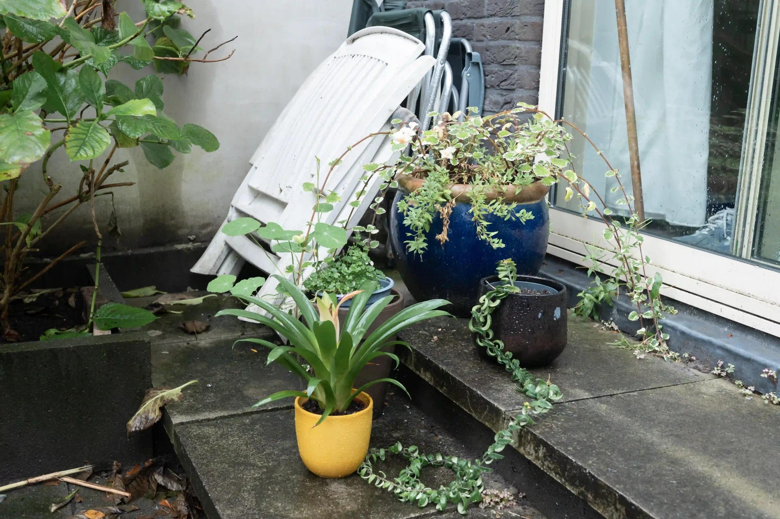 Garten entrümpeln - Schritt für Schritte Anleitung für Ihre Garten Entrümpelung